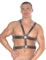 mens-body-harnesses-chest-harnesses-buy.jpg