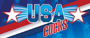 USA COCKS ultra-realistische Dildos