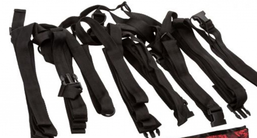 CalExotics Scandal 8 Points Bed Restraints Brocade Look