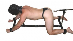 Prison Stockade w. fucking Rod