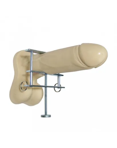Brust Penis Hoden Universal-Klemme
