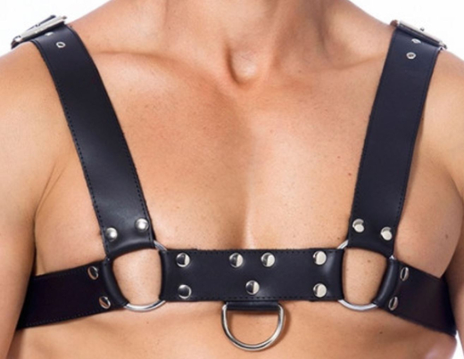 Harnais de poitrine avec boucles et anneaux en D en cuir