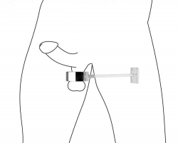 Scrotum Cuff for Wall mounting Stainless Steel