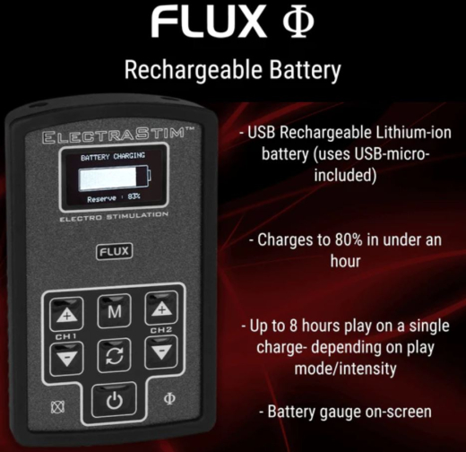 Electrastim FLUX Elektrosexgerät 2-Kanal High-Tech E-Stim Powerbox mit Mikrofon Eingang günstig