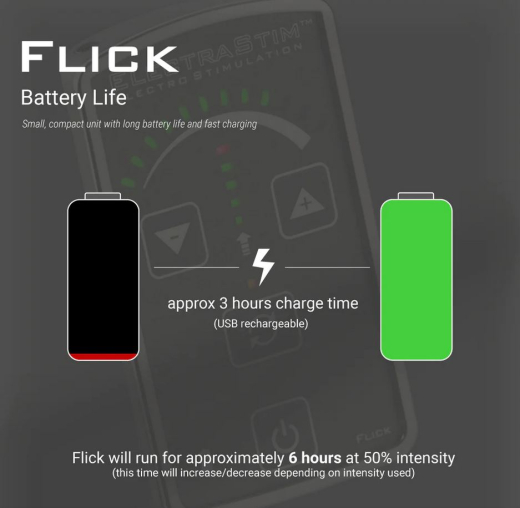 Elektrosex Powerbox Electrastim FLICK EM-60 Multipack 1-Kanal Steuergerät mit 2 Cockringen Pads & Dildo günstig