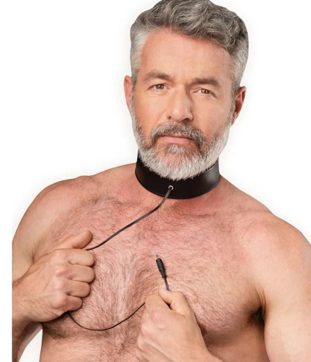 Elektroschock-Halsband bipolar Leder