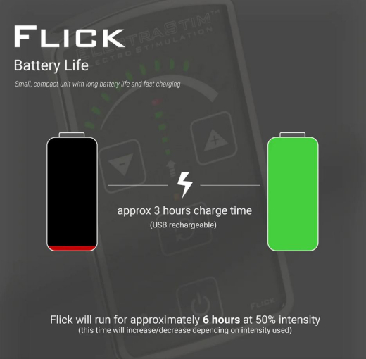 Electrosex Powerbox Electrastim FLICK EM-60-E 1-Channel E-Stim Powerbox & 4 Pads 24 Modes cheap