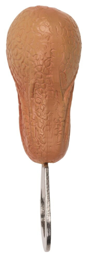 Bottle Opener Testicles funny Metal-Opener with detailed bright skin-colored Balls-Replica Fun- & Party Item buy