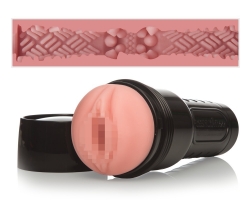 Fleshlight Masturbator Go-Surge