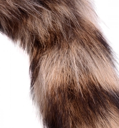 Fuchsschwanz Anal Plug Borsilikat-Glas