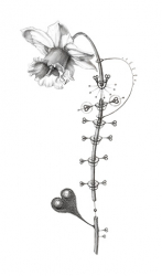 G-Rabbit Gvibe Fun-Toys London Vibrator