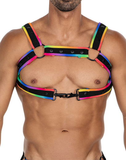 H4RNESS by C4M NEO Harness multicolor made of Neoprene w. Snap Fasteners removable Braces w. Carabiners buy