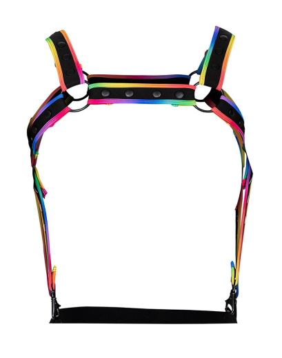 H4RNESS by C4M NEO Harness multicolor made of Neoprene w. Snaps adjustable removable Braces by CUT4MEN buy