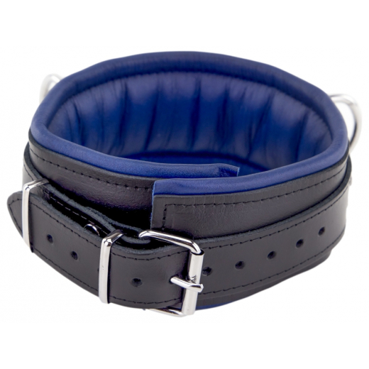 Halsband gepolstert m. D-Ringen Leder schwarz-blau mit Schnalle einstellbar starkes Rindsleder von THE RED kaufen