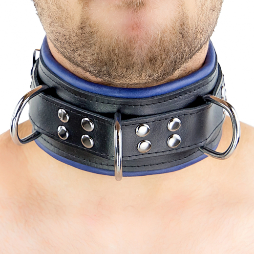 Halsband gepolstert m. D-Ringen Leder schwarz-blau mit Schnalle einstellbar BdSM Halsband von THE RED günstig kaufen