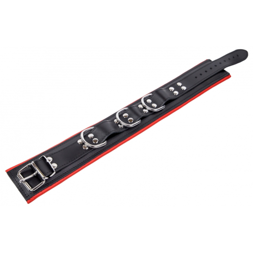 Halsband gepolstert m. D-Ringen Leder schwarz-rot mit Schnalle einstellbar hochwertiges Rindsleder günstig kaufen