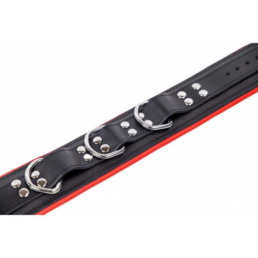 Halsband gepolstert m. D-Ringen Leder schwarz-rot mit Schnalle einstellbar starkes Rindsleder von THE RED kaufen