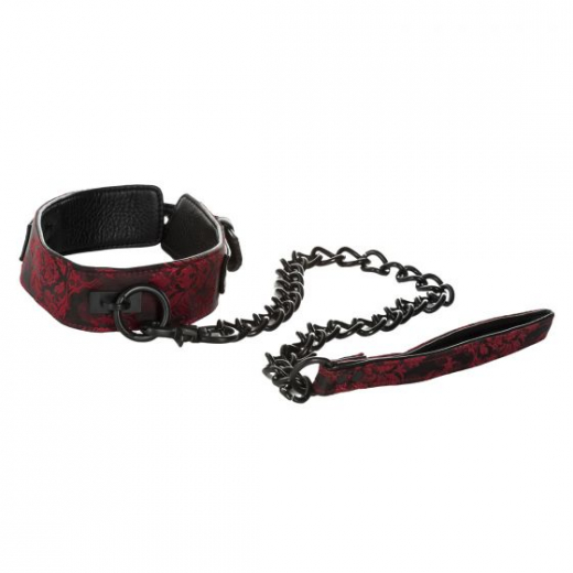 Halsband & Leine Scandal Collar & Leash