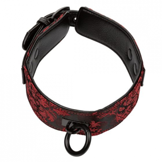 Collier & laisse Scandal Collar & Leash rouge-noir look brocart noble matériel métallique noir à bas prix