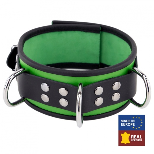 Halsband m. D-Ringen Leder grün-schwarz