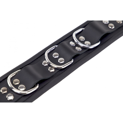 Halsband m. D-Ringen Leder schwarz mit Schnalle einstellbar hochwertiges starkes Rindsleder von THE RED kaufen