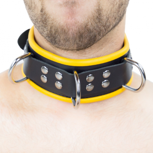 Halsband m. D-Ringen Leder schwarz-gelb mit Schnalle einstellbar hochwertiges Rindsleder BdSM Halsfessel kaufen