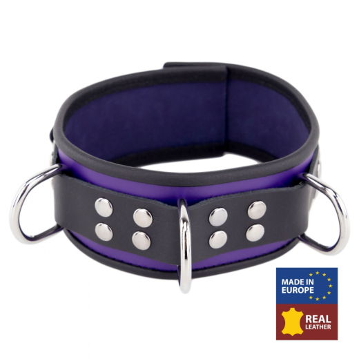 Halsband m. D-Ringen Leder violett-schwarz