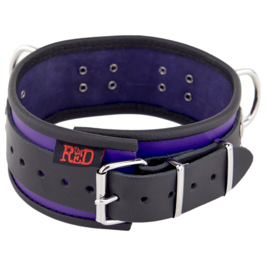 Collar w. D-Rings Leather purple-black by Buckle adjustable high Quality Cowhide BDSM Neck Restraint by THE RED buy