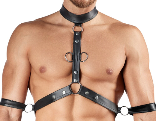 Harness-Pants & Brustharness Netz & Mattlook Kombination mit Fesselringen & 4 Arm/Handfesseln von SVENJOYMENT kaufen