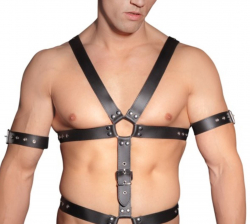 Herren Lederharness Jock m. Cockring