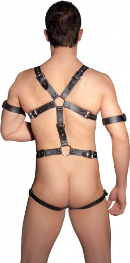 Herren Lederharness Jock m. Cockring