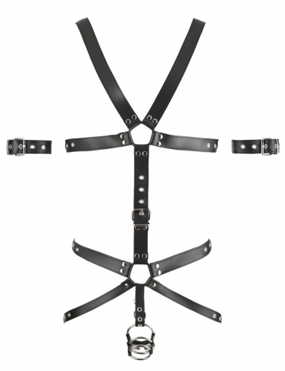 Herren Lederharness Jock m. Cockring