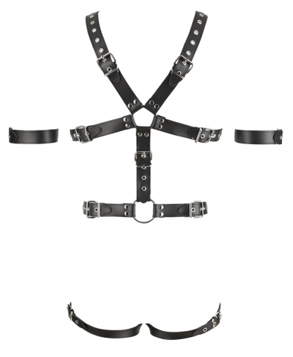 Herren Lederharness Jock m. Cockring
