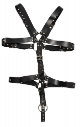 Herren Lederharness Riemenbody Cockring Körperharness m. Nieten & Stahlringen & 5cm Penisring von ZADO kaufen