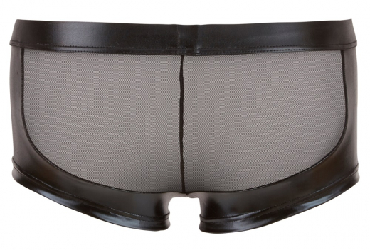 Herren Pants Netz & Wetlook