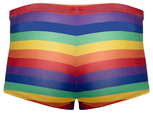 Herren-Shorts Rainbow multicolor