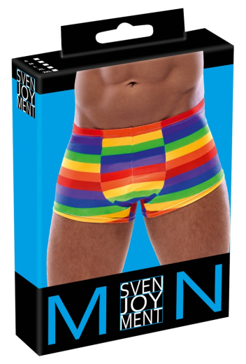 Herren-Shorts Rainbow multicolor