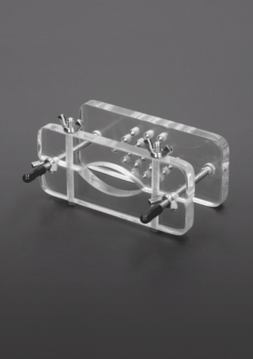 Testicle Press w. Thorns Acryl transparent