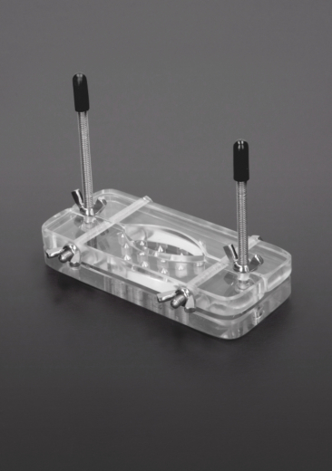 Testicle Press w. Thorns Acryl transparent