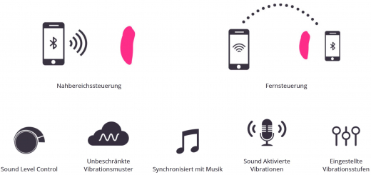 Höschenvibrator m. App-Steuerung Lovense Ferry starke Vibrationen unbegrenzte Vibro-Muster wasserdicht günstig