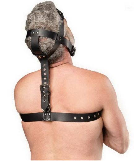 Kopfgeschirr m. Brustriemen Fixation Harness Leder