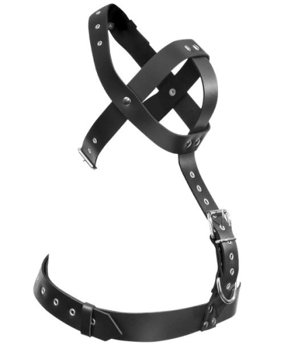 Kopfgeschirr m. Brustriemen Fixation Harness Leder per Schnallen einstellbar ösenverstärkte Riemen von RIMBA kaufen