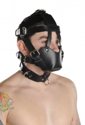 Head Harness padded Muzzle Leather