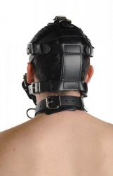 Head Harness padded Muzzle Leather