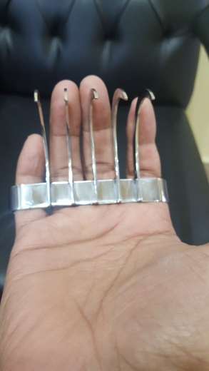 Scratcher Bear Claw Stainless Steel