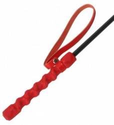 Plastic Cane Intense Impact red