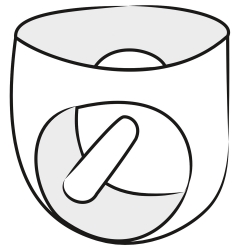 Latex Herrenslip m. Analdildo