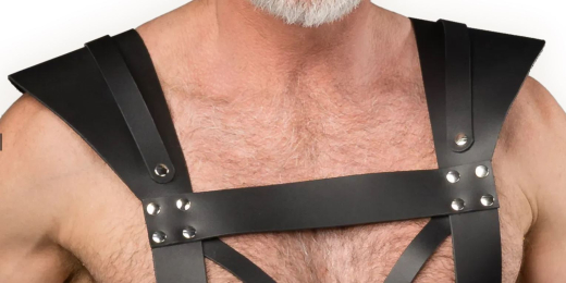 Leder Brustharness m. Schnallen Gladiator aus robustem Sattelleder mit silberfarbenen Nieten & O-Ring kaufen