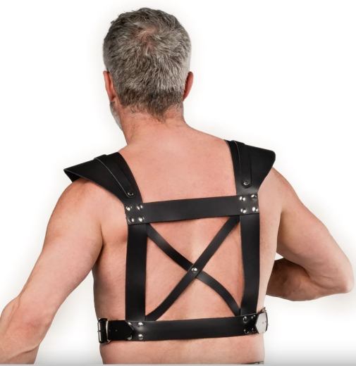 Leder Brustharness m. Schnallen Gladiator aus robustem Sattelleder mit silberfarbenen Nieten von RIMBA günstig kaufen