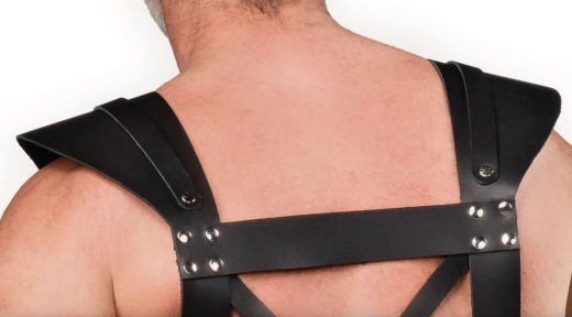 Leder Brustharness m. Schnallen Gladiator aus Sattelleder mit silberfarbenen Nieten & O-Ring von RIMBA günstig kaufen